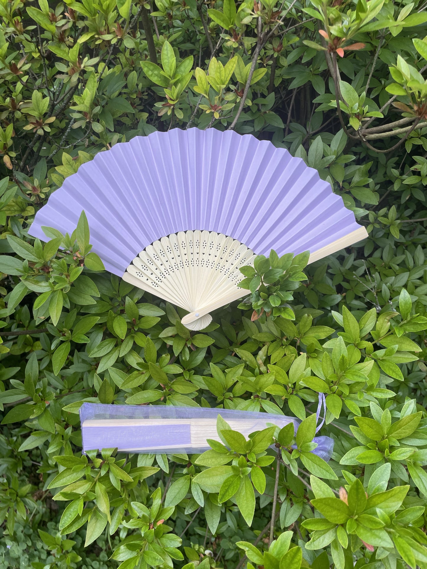 Lavender Fan