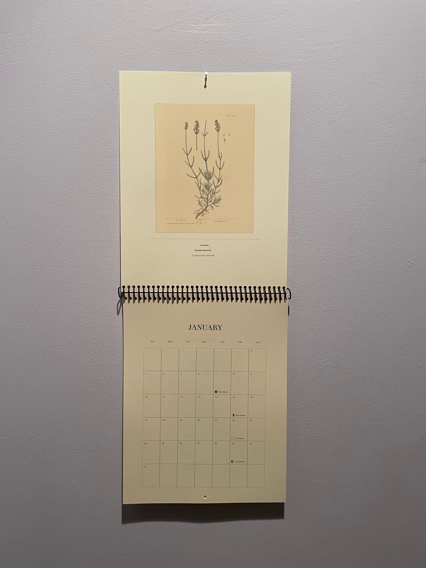 2027 Botanical Art Calendar