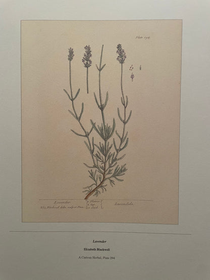 2027 Botanical Art Calendar