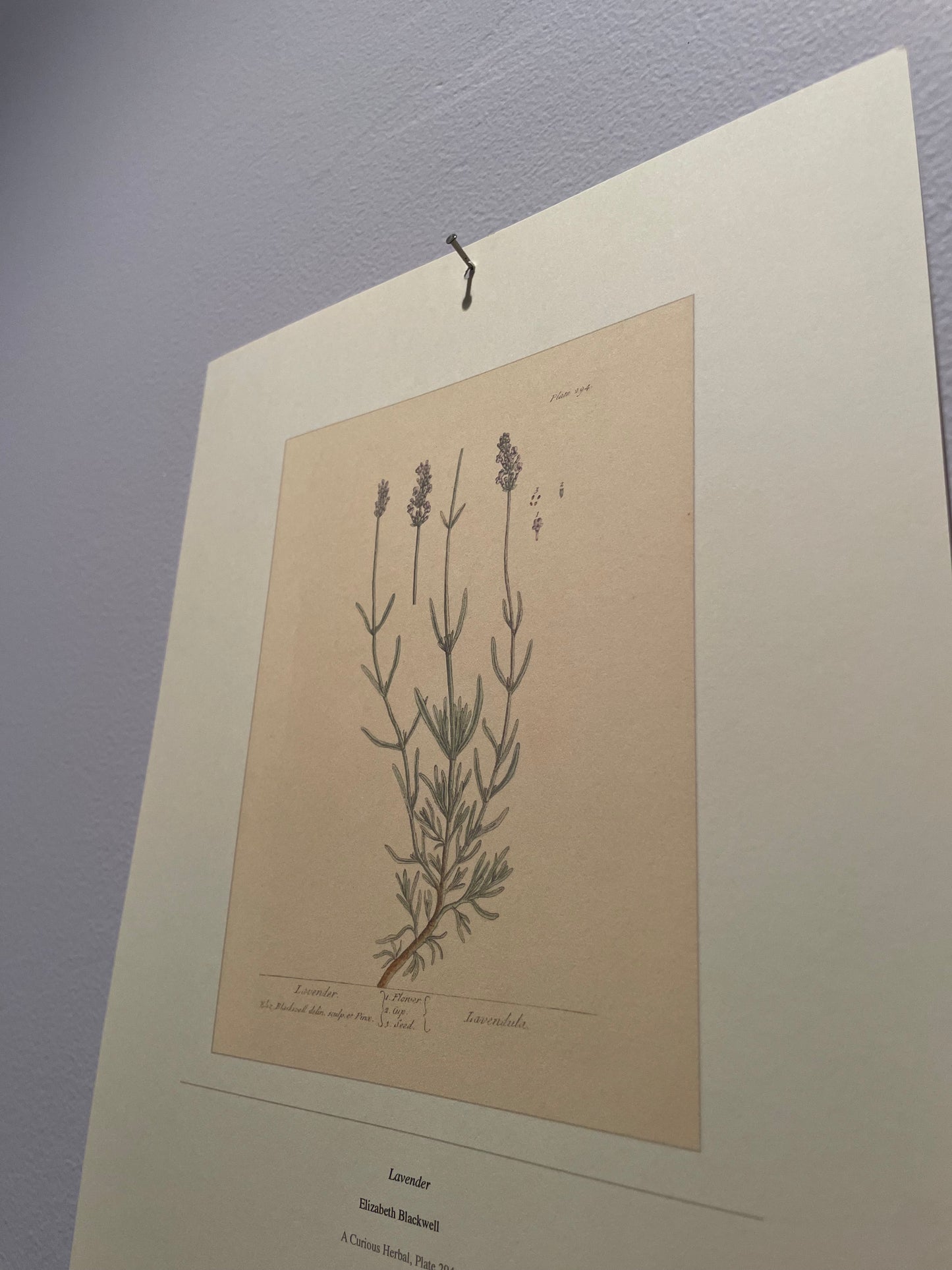 2027 Botanical Art Calendar