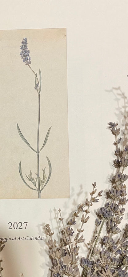 2027 Botanical Art Calendar