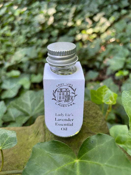 Lavender Essential Oil