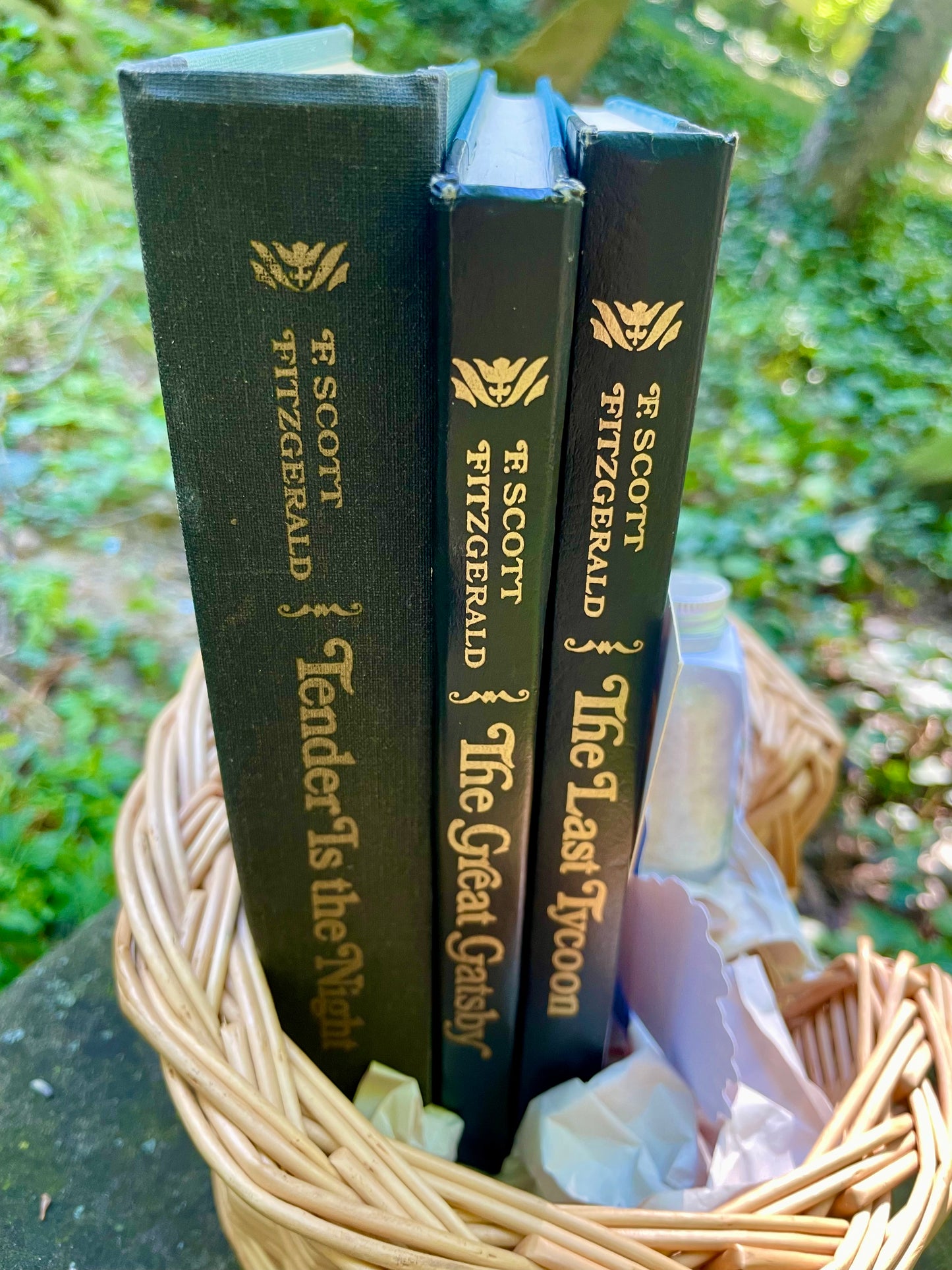 The Ultimate Fitzgerald Book Bundle