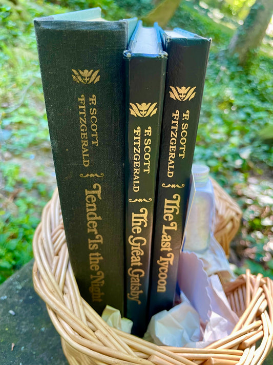 The Ultimate Fitzgerald Book Bundle