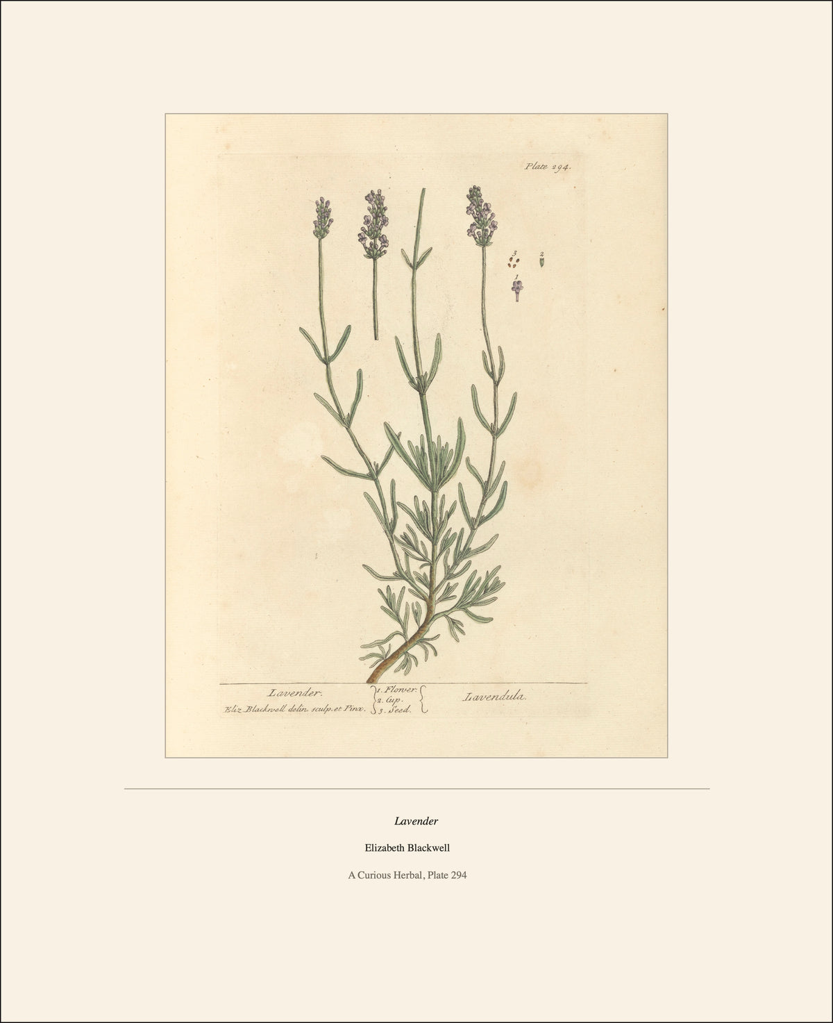 2027 Botanical Art Calendar