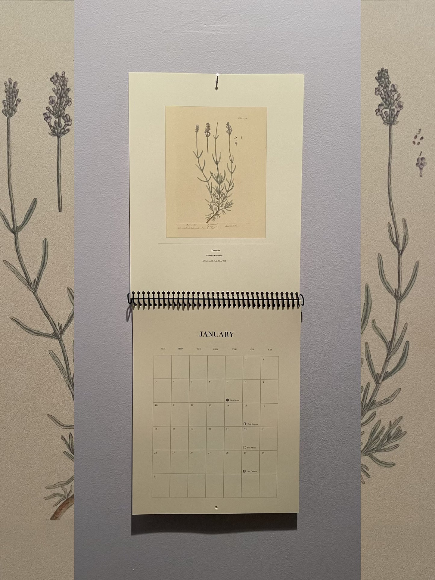 2027 Botanical Art Calendar