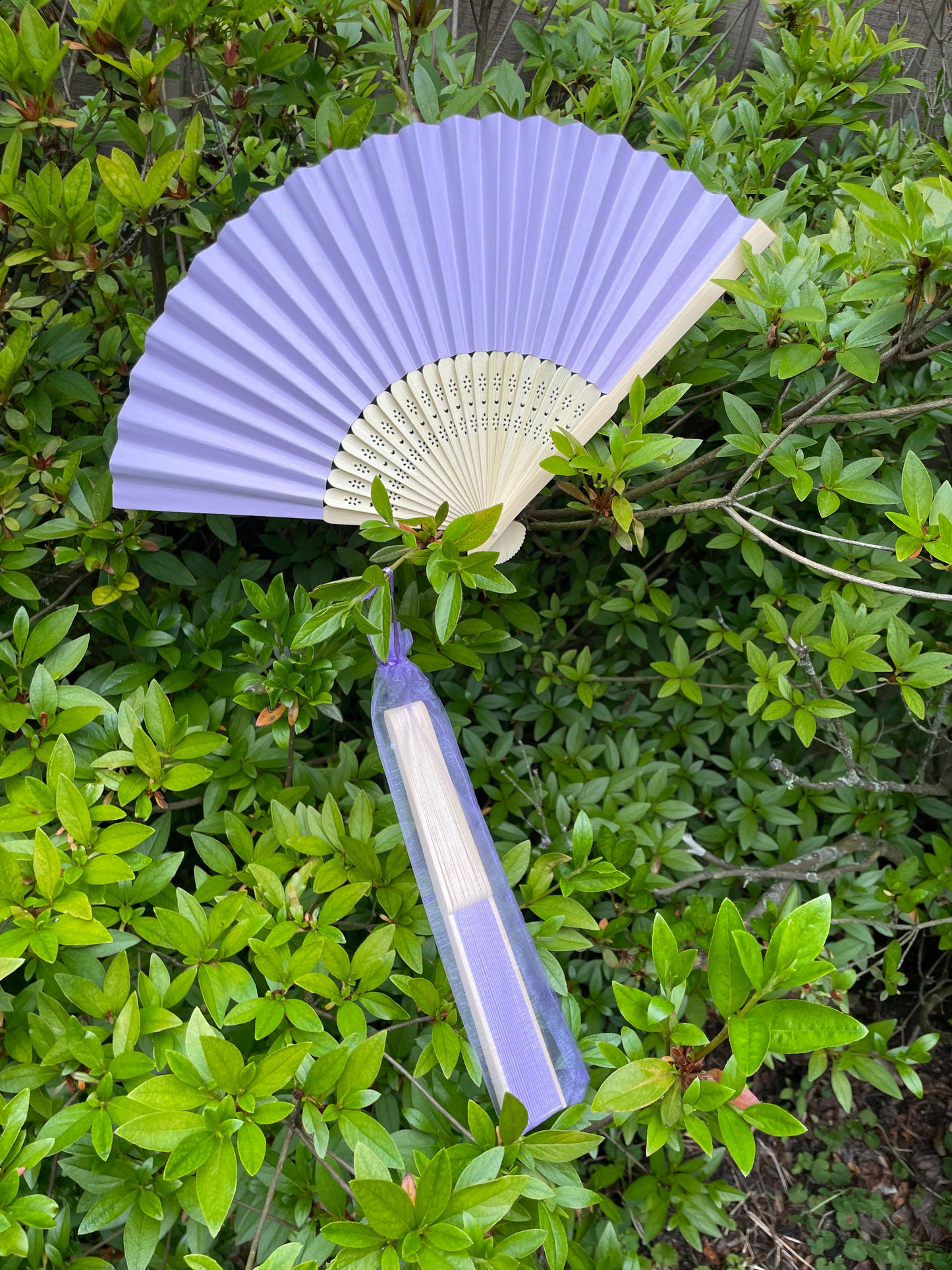 Lavender Fan