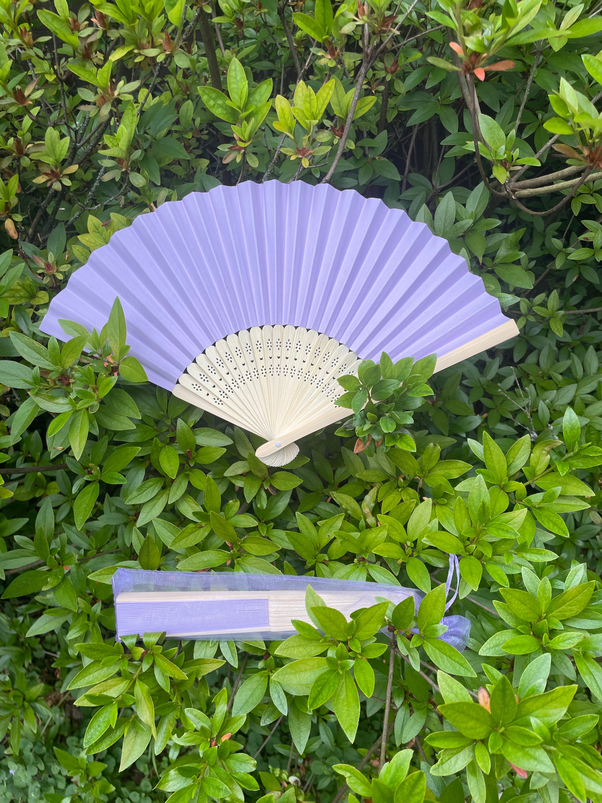 Lavender Fan